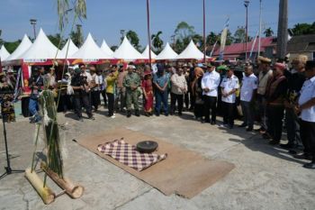 Kutai Timur lestarikan budaya Dayak Wehea lewat Lom Plai