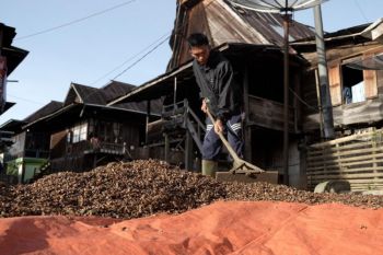 Kopi Tebat Benawa, saat tradisi dan inovasi Pusri bertemu di kaki Gunung Dempo