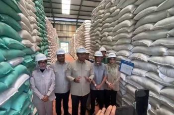 Wamentan Sudaryono soroti jaga kualitas beras di tengah stok melimpah