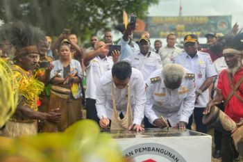 Wamendes PDT sebut pemerataan pembangunan Papua Selatan perlu didorong bersama