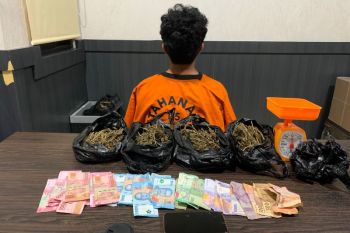 Polisi tangkap mahasiswa di Pangkalpinang terkait peredaran 410 gram ganja