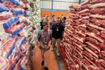 Bulog: Ketersediaan beras Kalimantan Tengah mencukupi sampai akhir tahun