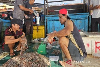 Mesak Manibor kembali aktif sebagai Bupati Sarmi 