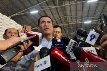 Mentan: Stok CBP di Bulog tembus 5,19 juta ton