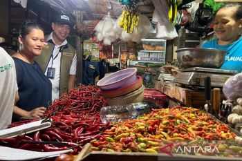 Kamis pagi harga cabai rawit capai Rp66.100/kg, telur ayam Rp32.050/kg