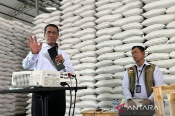 Mentan tegaskan tak ada kenaikan harga beras meski isu biaya kemasan