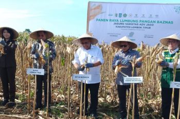 Baznas Indonesia perkuat ketahanan pangan di Lombok Timur