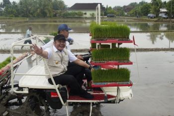 Wamentan : Percepatan masa tanam antisipasi gagal panen akibat El Nino