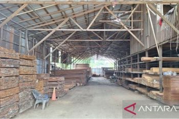 Balai Gakkum Kehutanan Kalimantan bongkar perdagangan kayu ilegal di Samarinda-Balikpapan