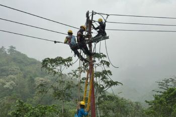PLN mulai bangun jaringan listrik di Tinombo