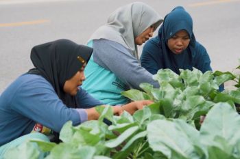 Semen Gresik dorong peran perempuan melalui Program Bumi Kartini