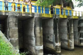 Aceh Besar targetkan tanam musim gadu seluas 17.561 hektare