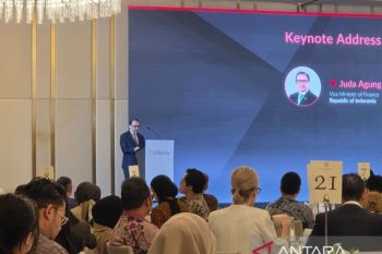 Indonesia's investment grade remains secure: Deputy Finance Minister
