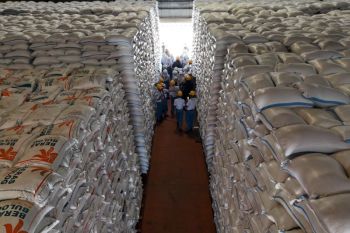 Stok beras Bulog Kediri capai 103.150 ton