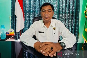 Natuna utamakan bibit lokal dalam pengembangan kelapa