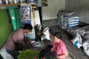 Kios PPTS Tani Makmur Lumajang sebut stok pupuk bersubsidi aman