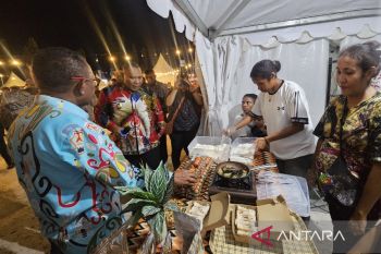 Wagub Papua ajak pelaku usaha sagu  daftar kekayaan intelektual