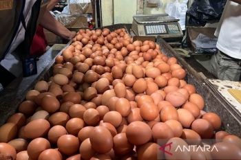 Jumat, telur ayam Rp32.000 per kg dan bawang merah Rp45.950 per kg