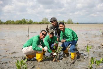 Pelabuhan Sehat Bandar Bentan Telani tanam 1.000 bibit bakau untuk perkuat ketahanan pesisir