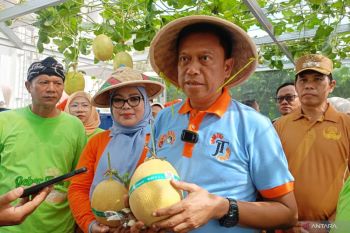 Dorong ketahanan pangan, Pemkot Jaktim panen 90 kg melon Inthanon