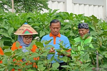Pemkot Jaktim imbau petani atur pola tanam hadapi kemarau panjang