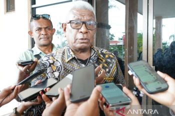 Mimika dorong eliminasi malaria melalui kepatuhan minum obat