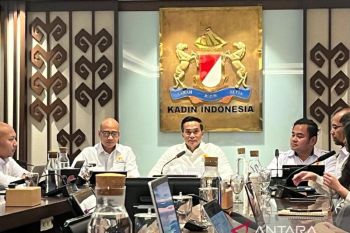Kadin: Indonesia selalu bertahan dari krisis dan bangkit lebih kuat