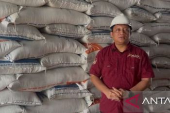 Stok beras di gudang Bulog Belitung capai 974 ton