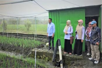 Pemkab Barito Utara kaji tiru ke Nganjuk perkuat inovasi pertanian