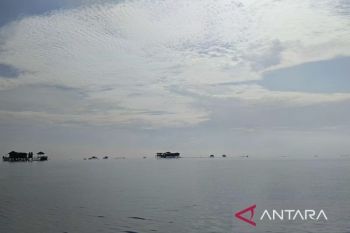 Kaltim gencarkan empat pencegahan tangkap ikan ilegal