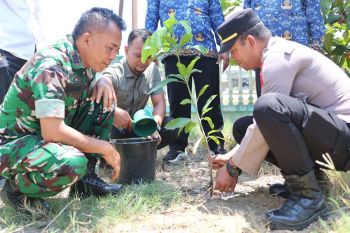 Lembaga lingkungan dorong aksi kolektif cegah karhutla