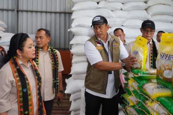 Bulog: Penyaluran Minyakita di NTT capai 1,37 juta liter