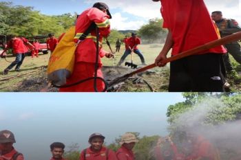 Hadapi kemarau ekstrem, TN Tambora perkuat pengendalian Karhutla