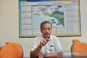 Bulog Papua sebut penyerapan beras Merauke capai 1.678 ton per April 2026