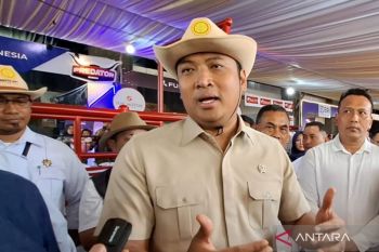 Wamentan jamin stok daging sapi aman saat Idul Adha