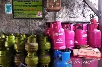 Presiden Prabowo minta perguruan tinggi kembangkan teknologi alternatif kurangi LPG