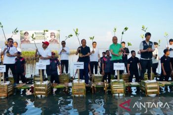 Pemkab Badung tanam mangrove dukung pelestarian lingkungan