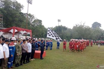 Ministry identifies seven peat hotspots highly prone to wildfires