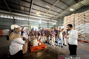 Bulog jamin ketersediaan beras untuk warga pulau penyangga di Kepri