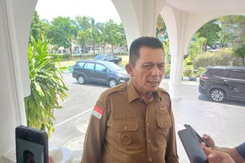 Kepri dan PLN targetkan enam pulau nikmati listrik 24 jam