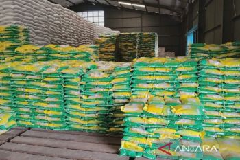 Bulog Natuna catat stok beras di dua gudang capai 430 ton