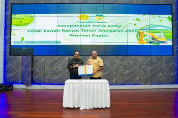Pemprov-Kementan kembangkan lahan sawah baru di Papua