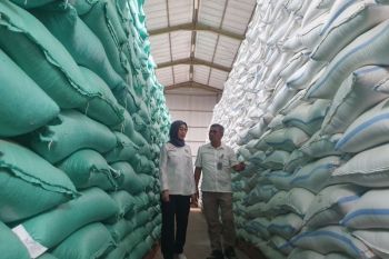 Bulog target salurkan 893 ribu ton beras SPHP pada 2026