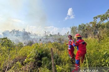 BNPB: Petugas gabungan padamkan karhutla di Kaltim dan Kalsel