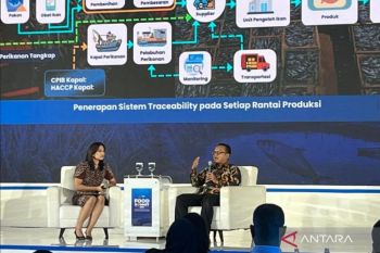 Indonesia shrimp exports to US surge despite contamination case