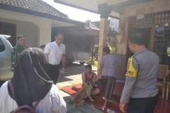 Mataram mengimbau waspada potensi gigitan anjing liar antisipasi rabies
