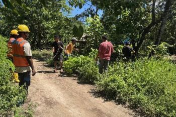 PLN mempercepat transisi energi listrik di pedalaman Pulau Sumba