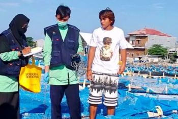 Dinkes DKI beri kiat pilih ikan segar salah satunya lewat ciri mata