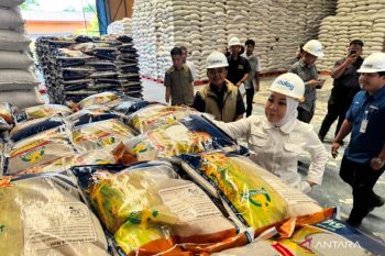 Pastikan Stok Pangan Aman, Rahmawati Sidak Gudang Bulog Bulungan