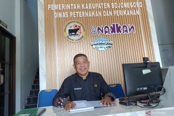 Disnakan Bojonegoro cek kesehatan hewan kurban jelang Idul Adha